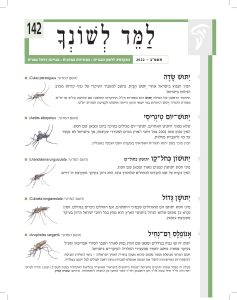 למד לשונך 142